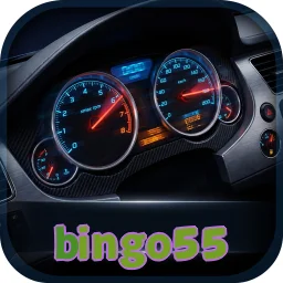 bingo55