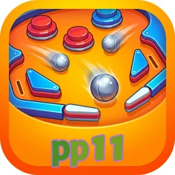 pp11